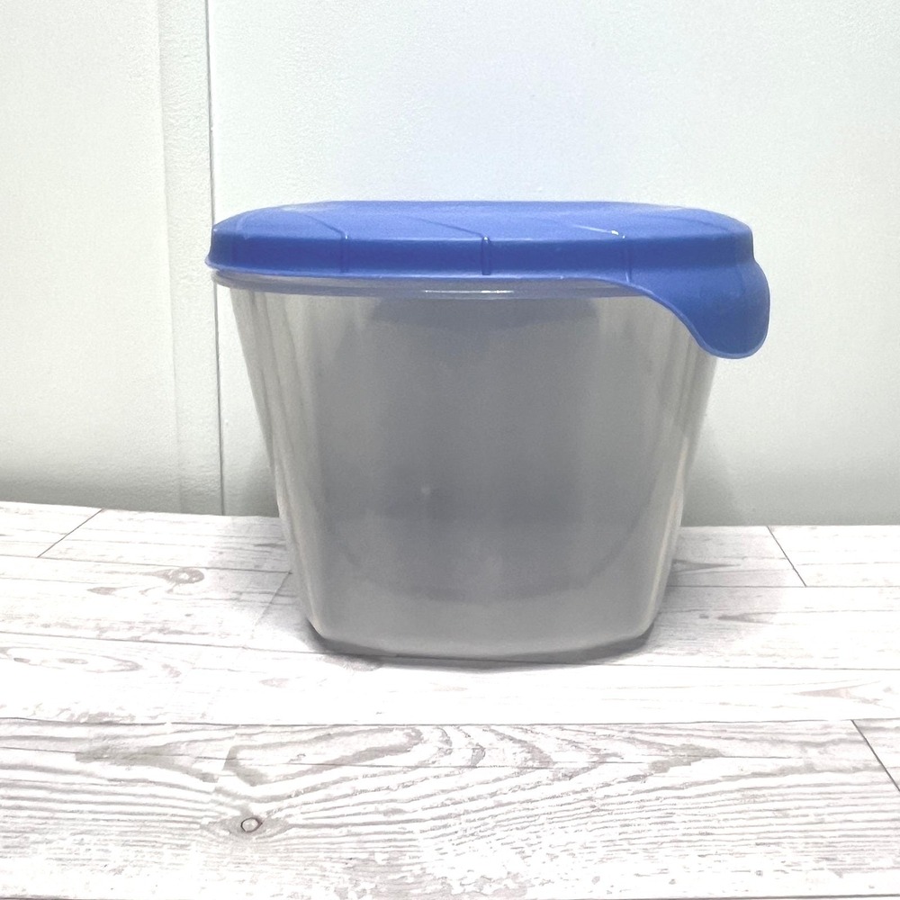 Rubbermaid Servin Saver 1.1 Gallon Storage Container Blue Lid 4.1L 5343 USA